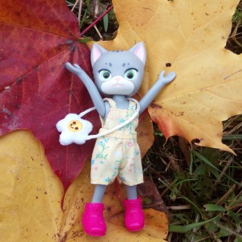 Белла Мяу и осенние листья (и опрос)