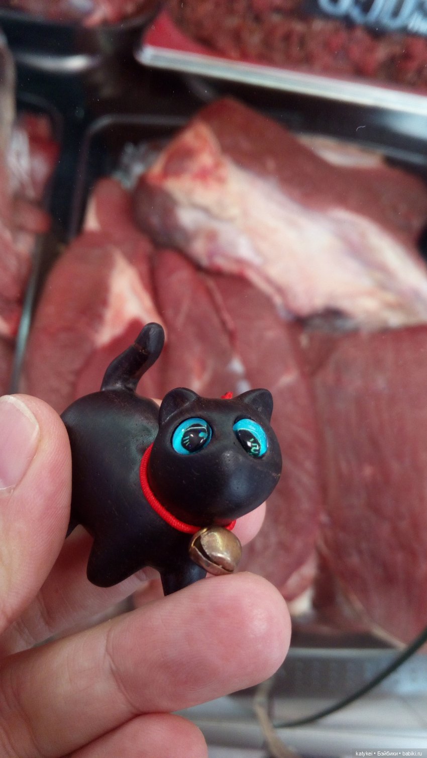 День чёрных котиков. Санни и Ко (фото 3)