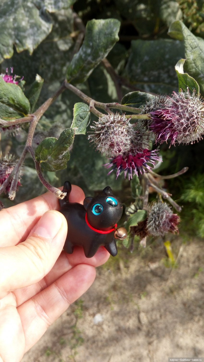 День чёрных котиков. Санни и Ко (фото 5)