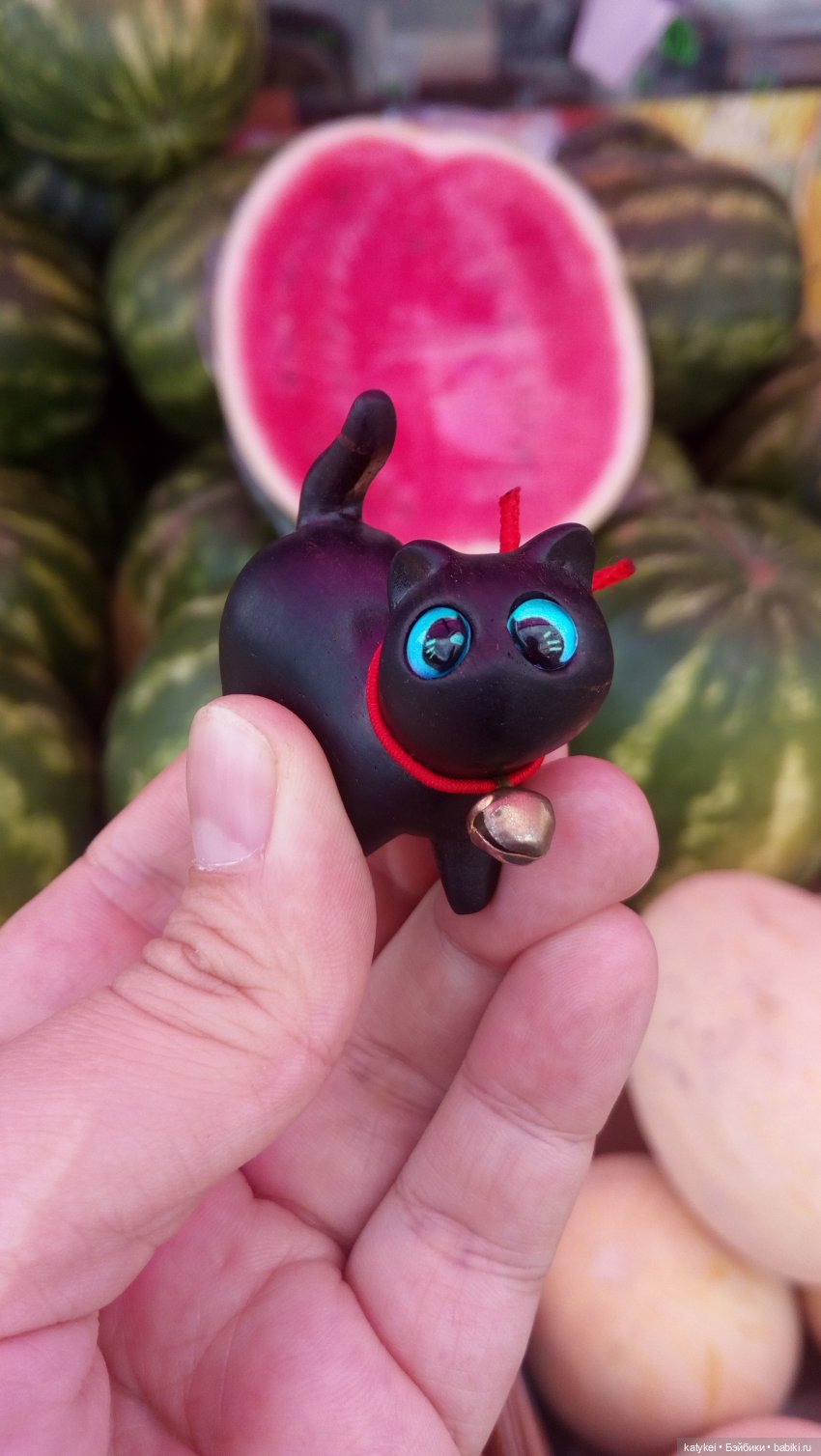 День чёрных котиков. Санни и Ко (фото 2)