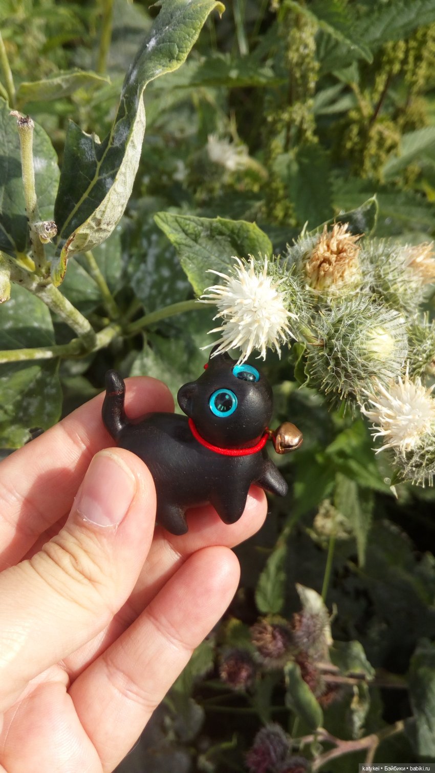 День чёрных котиков. Санни и Ко (фото 4)