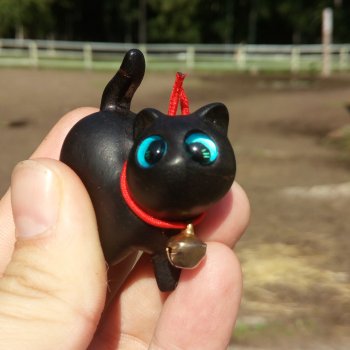 День чёрных котиков. Санни и Ко