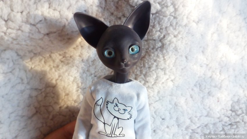 День чёрных котиков. Санни и Ко (фото 7)