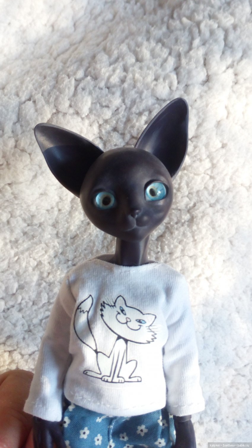 День чёрных котиков. Санни и Ко (фото 9)