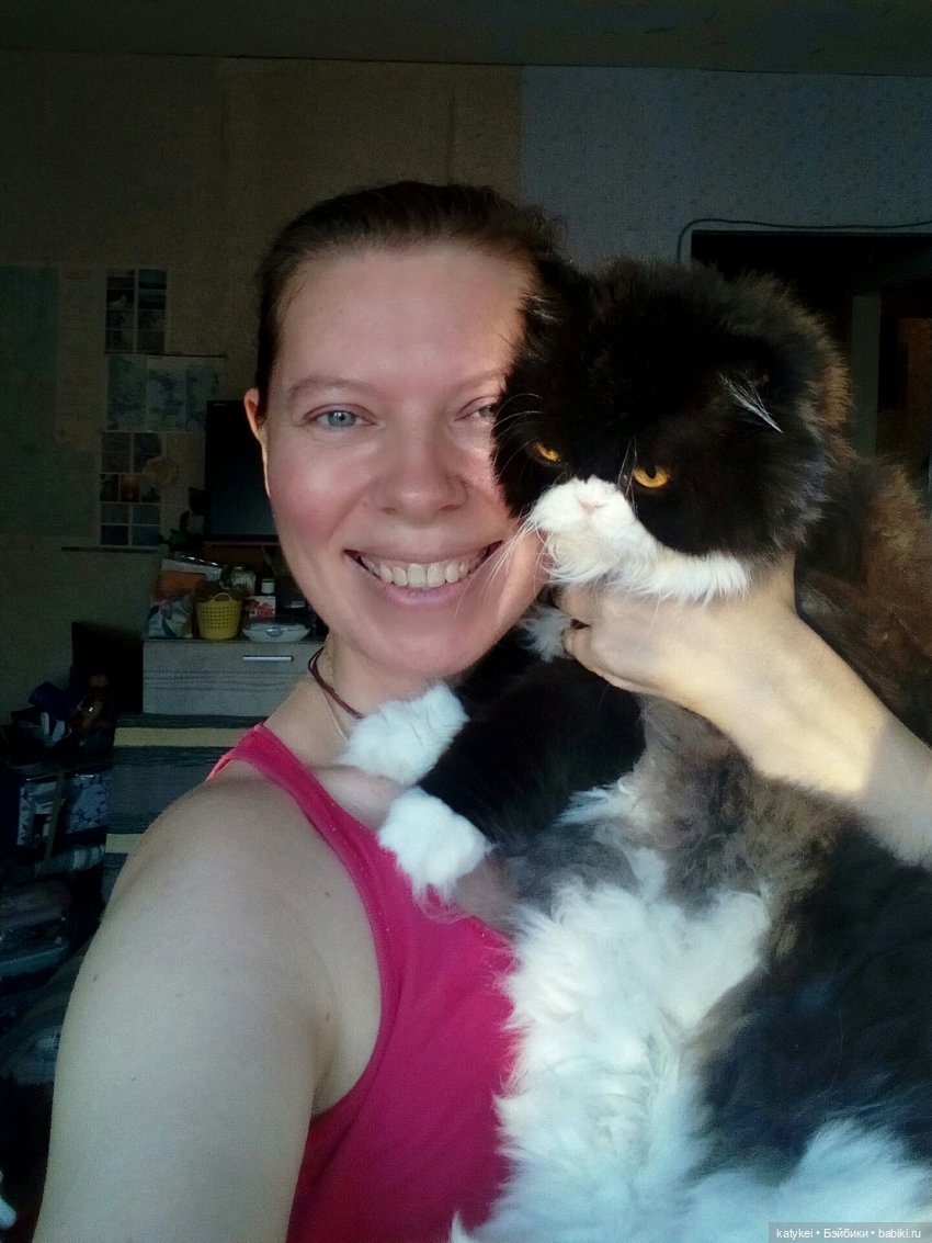 День чёрных котиков. Санни и Ко (фото 6)