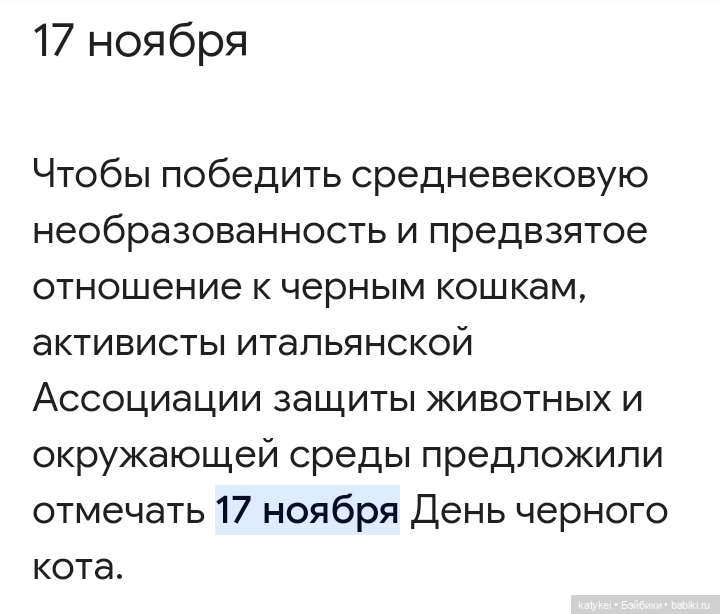 День чёрных котиков. Санни и Ко