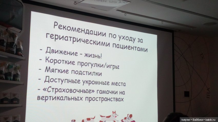 Бирюза, Красноух и Полосатик на Ветеринарной конференции (фото 5)