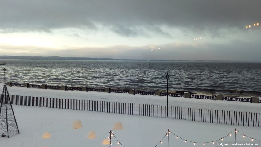 Бирюза, Красноух и Полосатик на Ветеринарной конференции