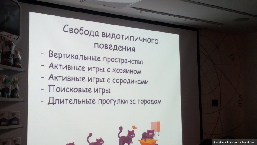 Бирюза, Красноух и Полосатик на Ветеринарной конференции (фото 4)