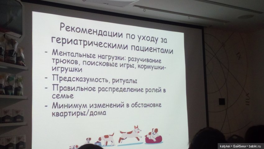 Бирюза, Красноух и Полосатик на Ветеринарной конференции (фото 6)