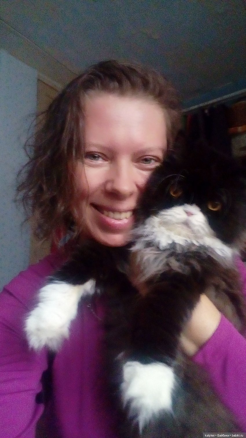 День домашних животных | Бэйбики День домашних животных — Коллекционные игрушки и фигурки: Lego