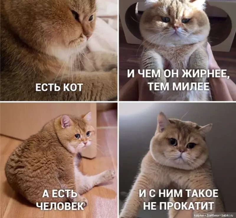 (Чай) Год без сахара — Болталка и разговоры обо всем: жизнь