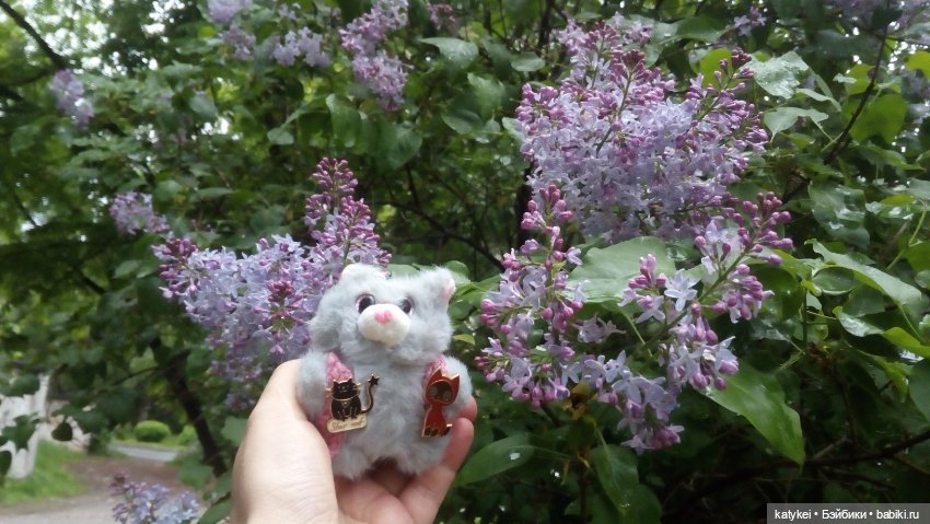 Всё цветёт. Пушин и Ко. 9 мая (фото 9)