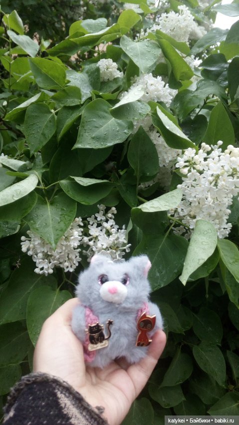 Всё цветёт. Пушин и Ко. 9 мая (фото 5)