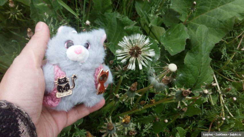 Всё цветёт. Пушин и Ко. 9 мая (фото 6)