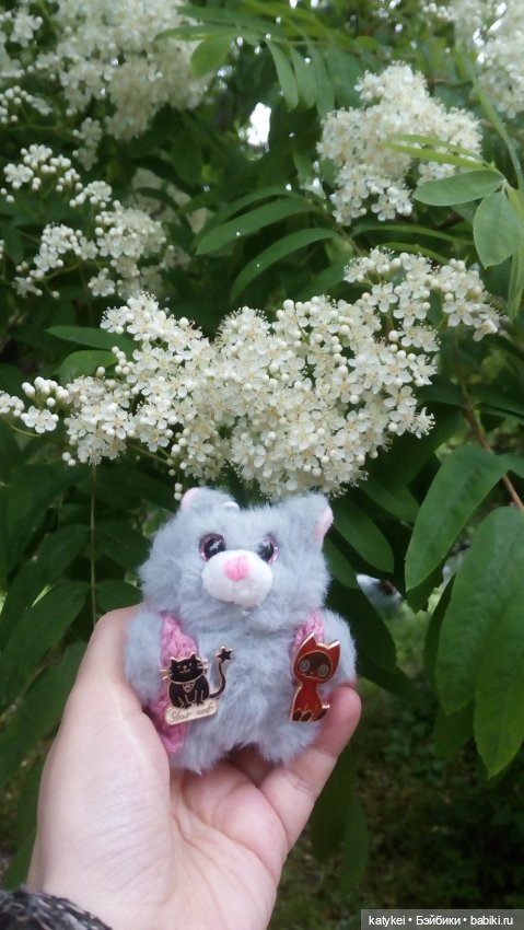 Всё цветёт. Пушин и Ко. 9 мая (фото 10)