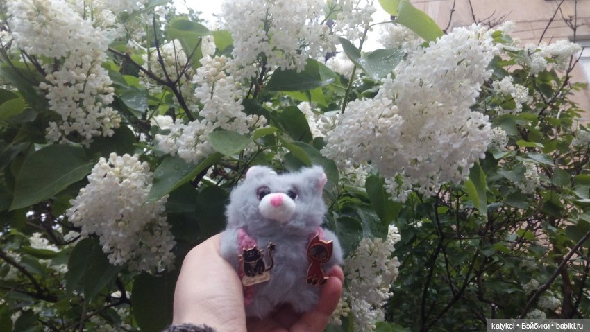 Всё цветёт. Пушин и Ко. 9 мая (фото 4)