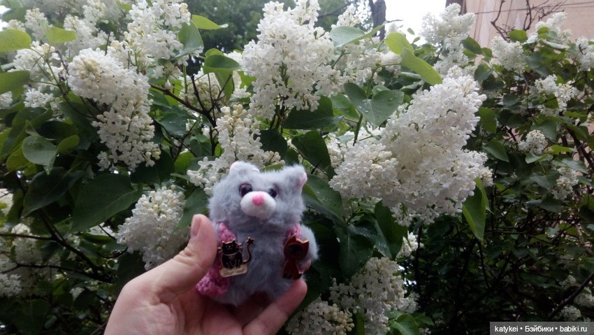 Всё цветёт. Пушин и Ко. 9 мая (фото 3)