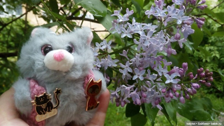 Всё цветёт. Пушин и Ко. 9 мая (фото 8)