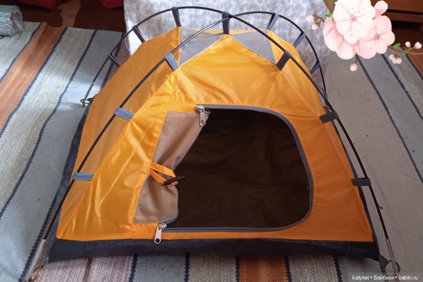 Кот и Кит. Интересная деталь (фото 4)