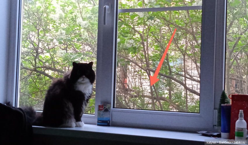 Пространство челлендж 37 — Болталка и разговоры обо всем: жизнь (фото 5)