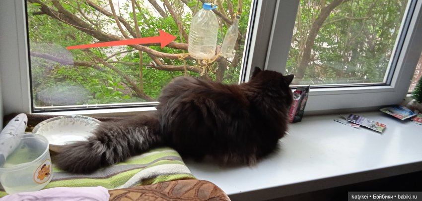 Пространство челлендж 37 — Болталка и разговоры обо всем: жизнь (фото 4)