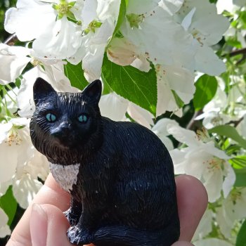 Яблоня на практике