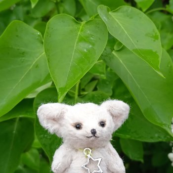 Фенек и сирень