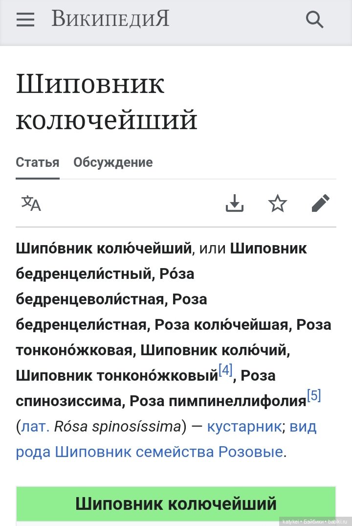 Роза ругоза | Бэйбики Роза ругоза — Коллекционные игрушки и фигурки: Lego