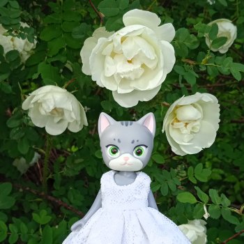 Роза ругоза