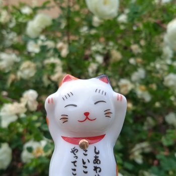 Летние цветы