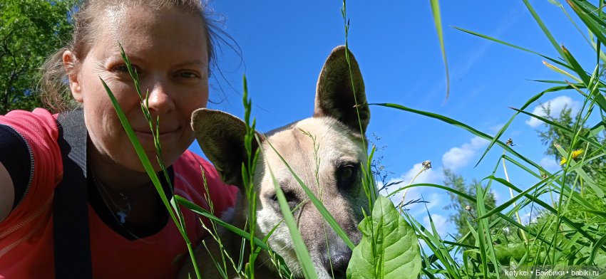 Шиповниковое мороженое и другие (фото 6)