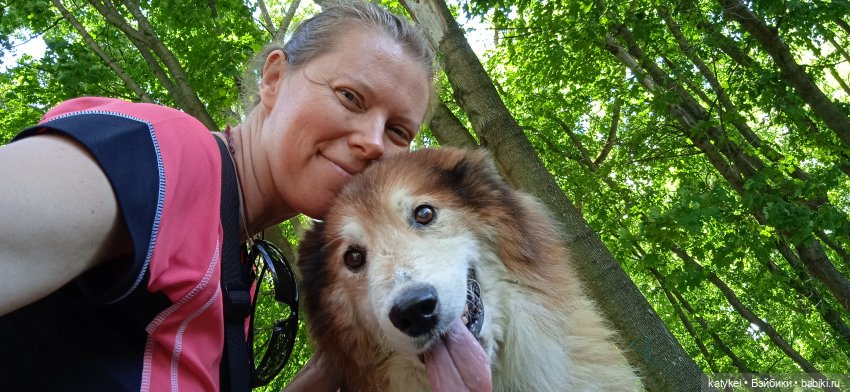 Шиповниковое мороженое и другие (фото 5)