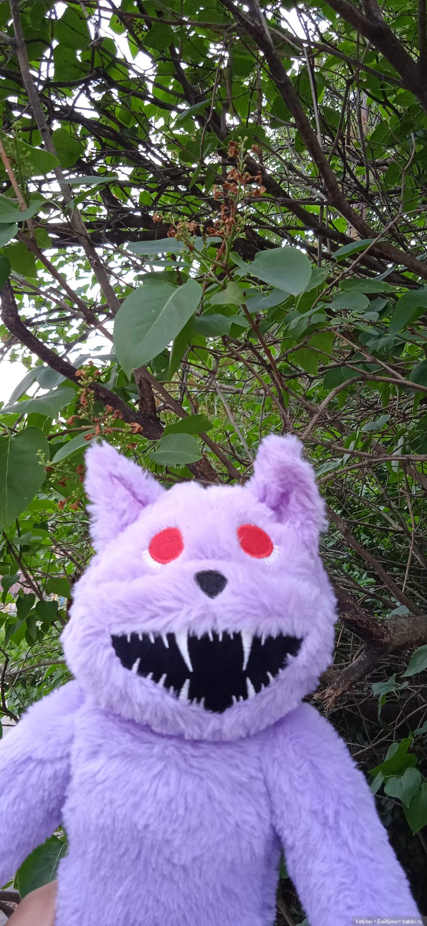 Кот Дремот и День города. 555-й топик (фото 4)