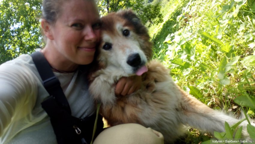 Кот Дремот и День города. 555-й топик