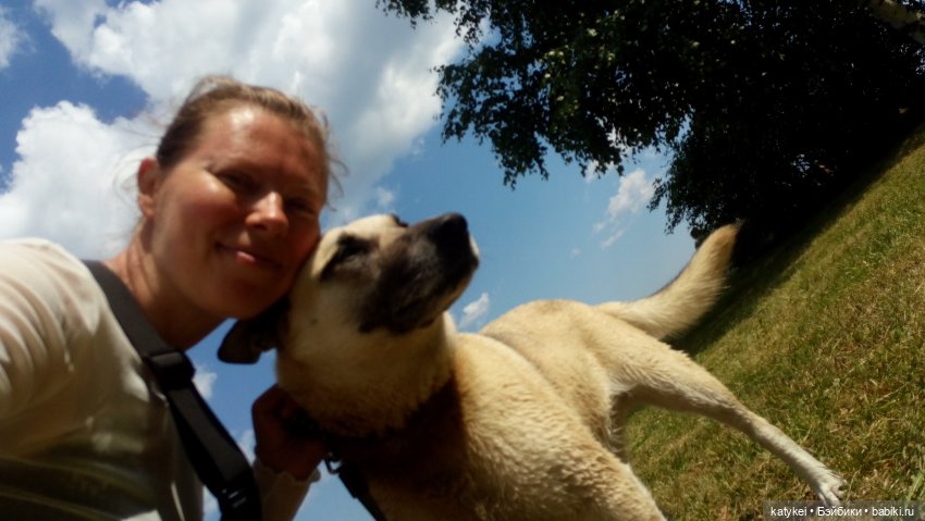 Кот Дремот и День города. 555-й топик