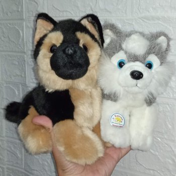 День собак 2024