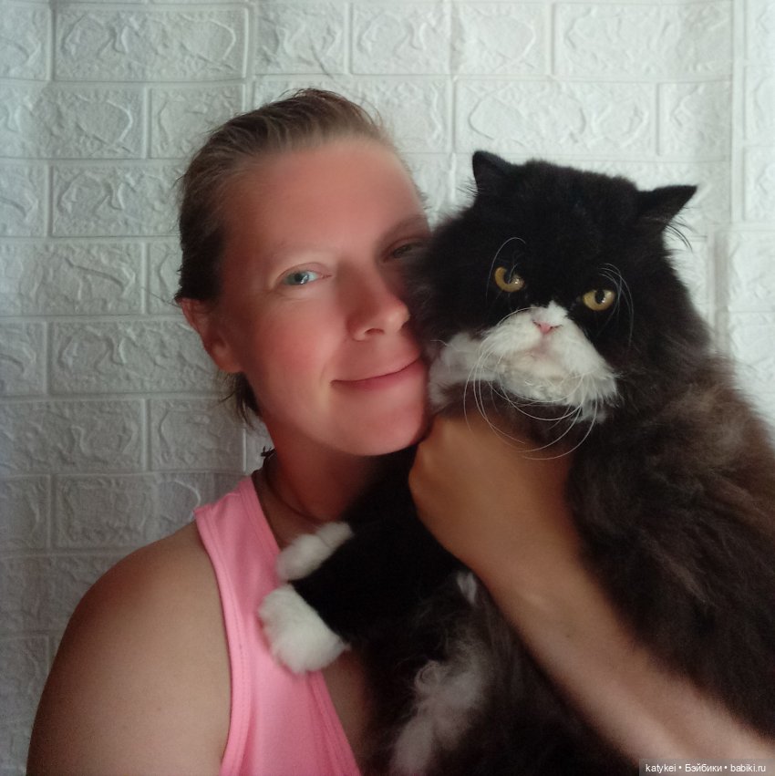 День котиков 2024 (часть 1)