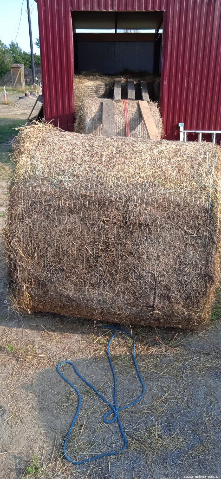 Приключения бордовой машинки (фото 2)