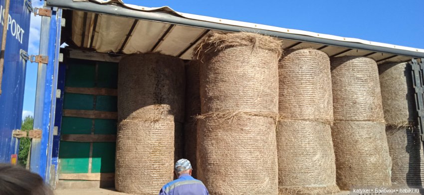 Приключения бордовой машинки