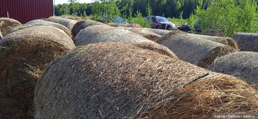 Приключения бордовой машинки (фото 3)