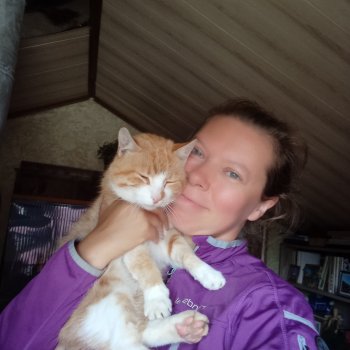 День благодарности рыжим котам 2024