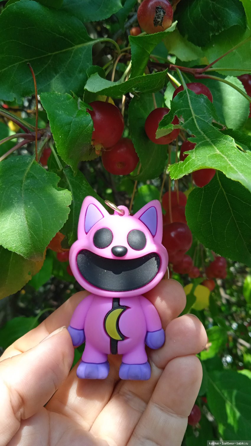 Прогулки по городу с Дримом (фото 2)