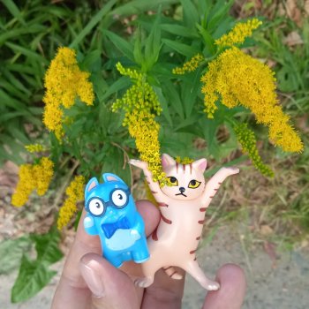 Разный подход