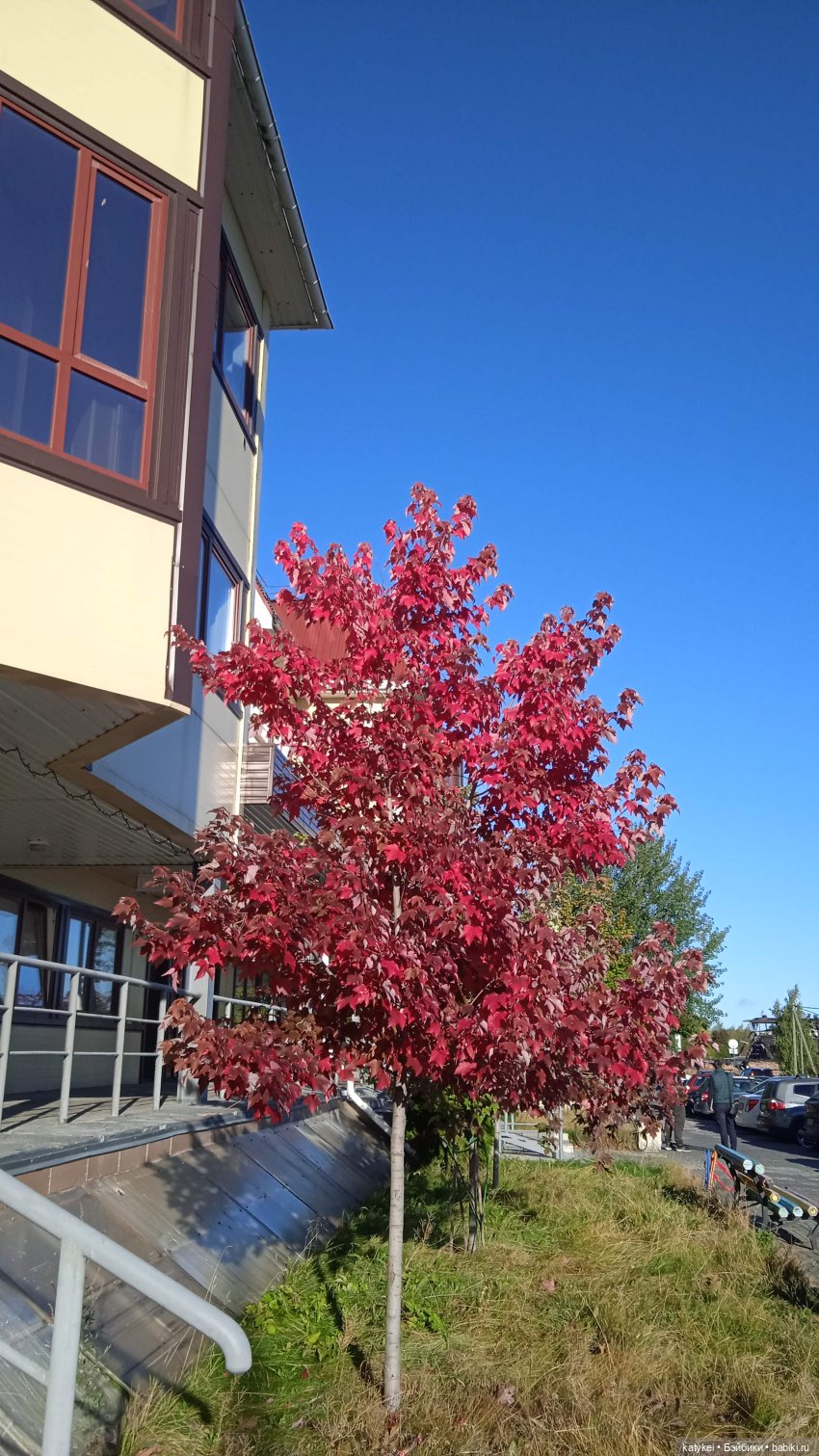 Уроки английского с Гранатом (фото 5)