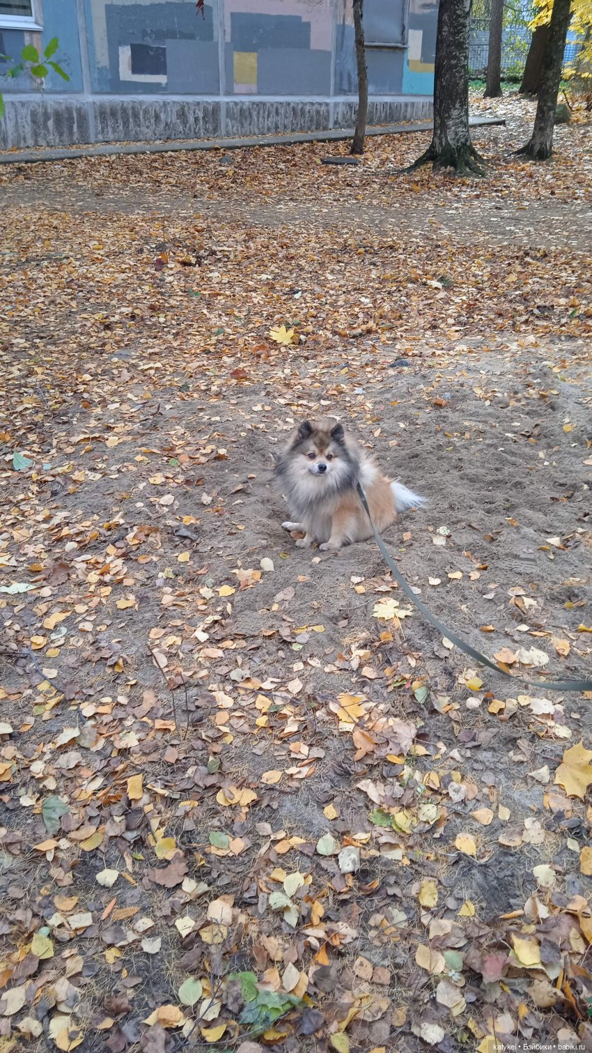 Кураж. Ответственное задание