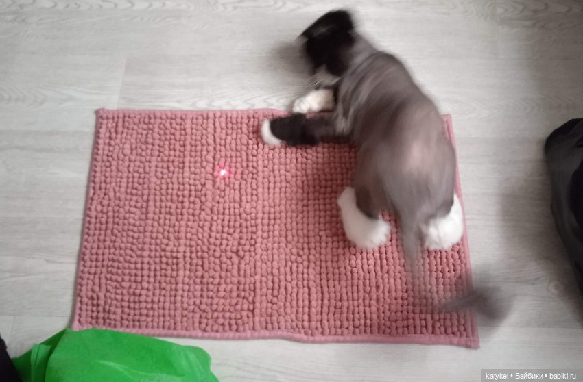 Кураж. Ответственное задание (фото 3)