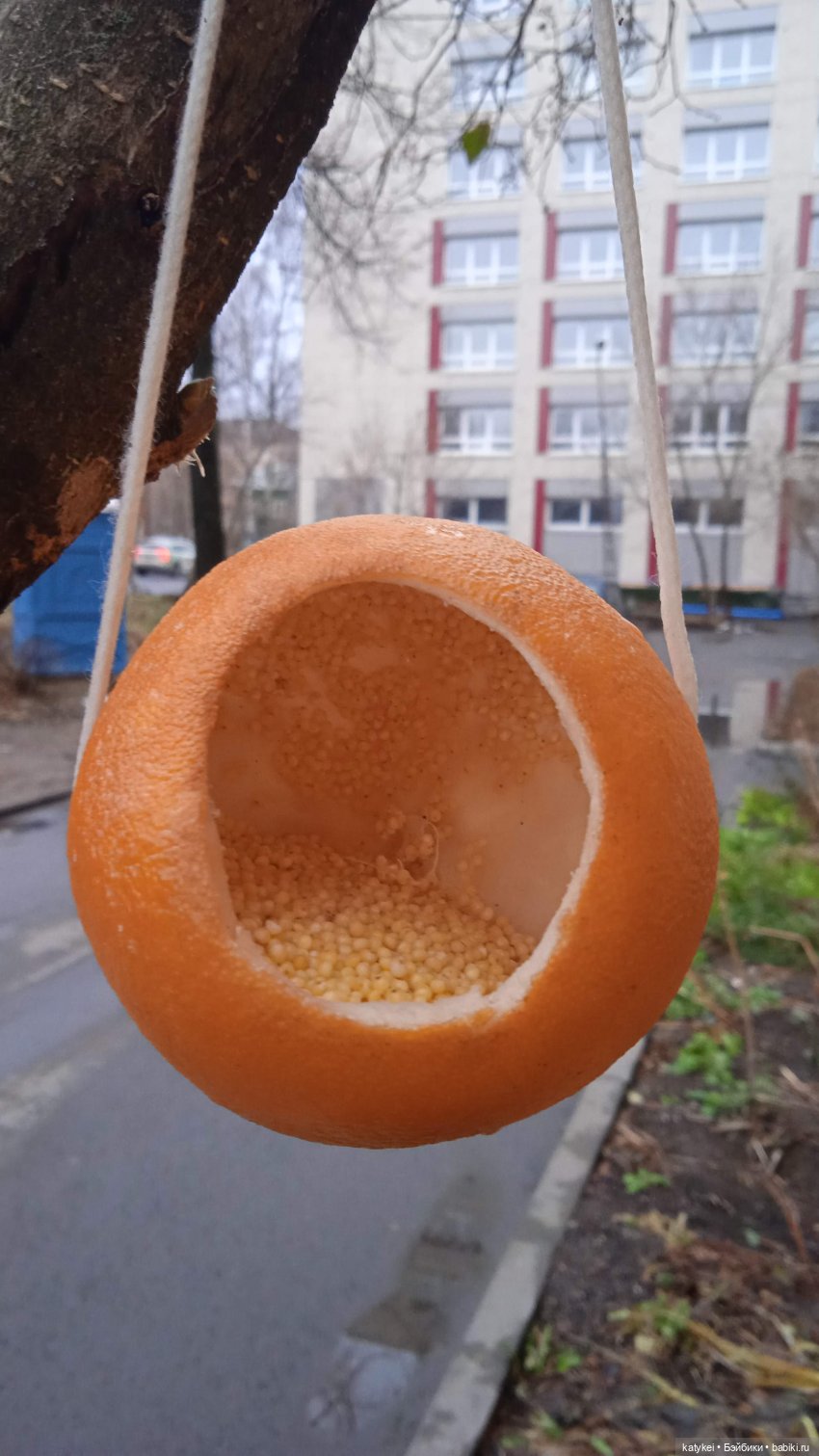 Кураж и великие путешественники