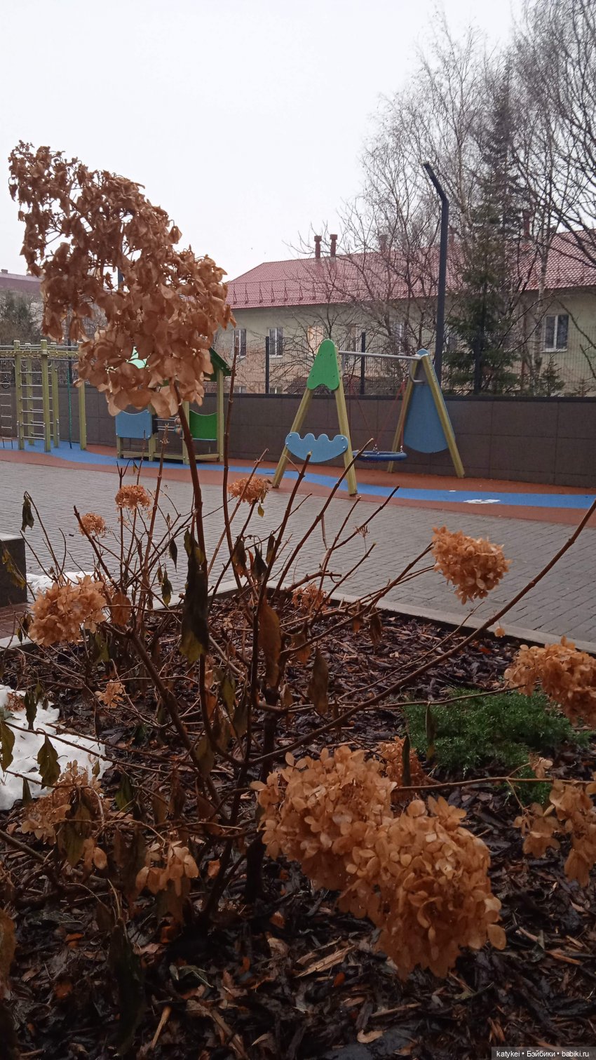 Кураж и великие путешественники (фото 7)