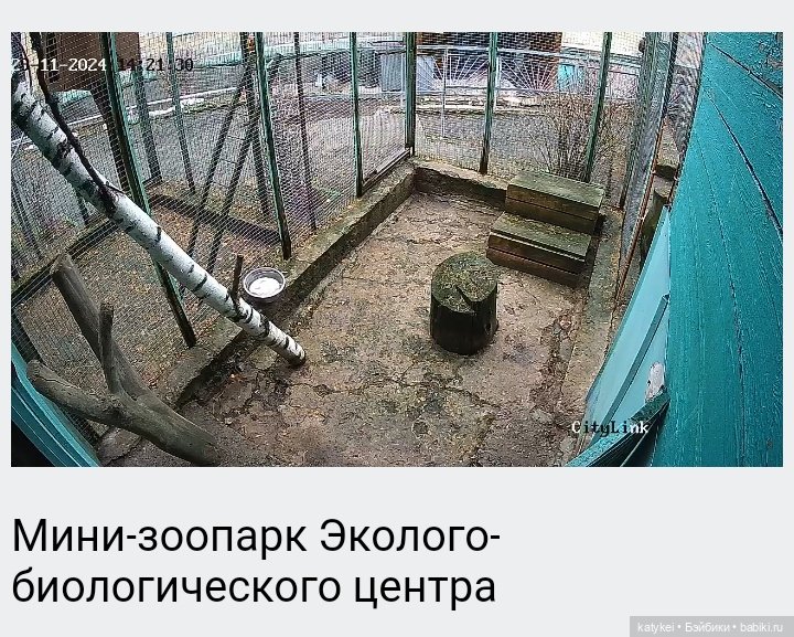 Кураж и великие путешественники (фото 6)